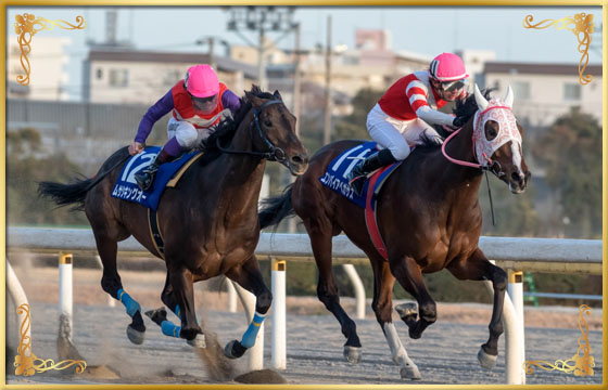 2017年優勝馬　エンパイアペガサス号