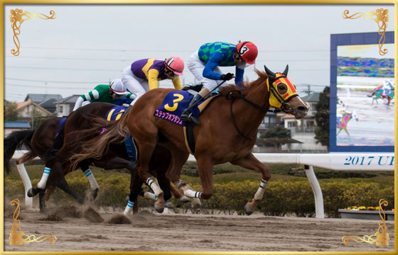 2017年優勝馬 ステップオブダンス号