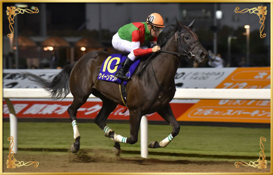 2017年優勝馬 クイーンマンボ号