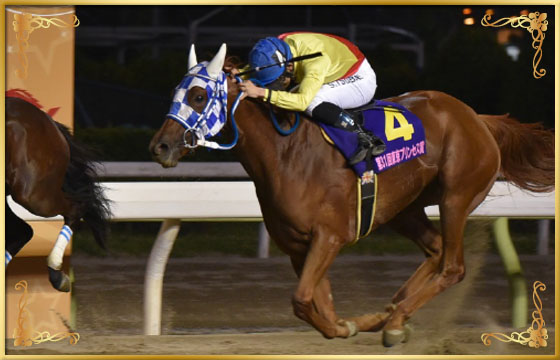 2017年優勝馬　アンジュジョリー号