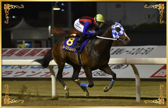 2017年優勝馬　ローズジュレップ号