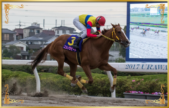 2017年優勝馬　ニシノラピート号