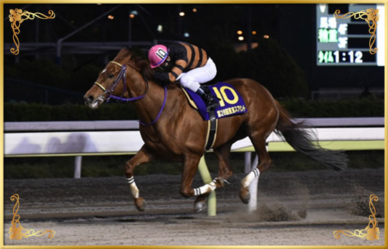 2017年優勝馬　キタサンサジン号