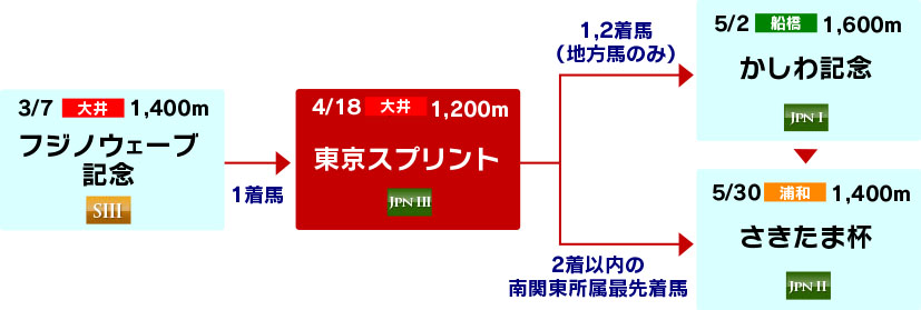 体系図　～4歳以上短距離～