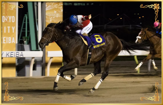 2017年優勝馬　ウマノジョー号