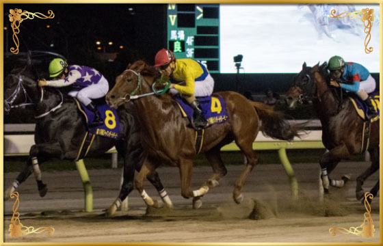 2017年優勝馬　ヒガシウィルウィン号(外)