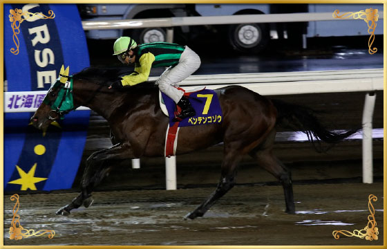 2017年優勝馬　ベンテンコゾウ号