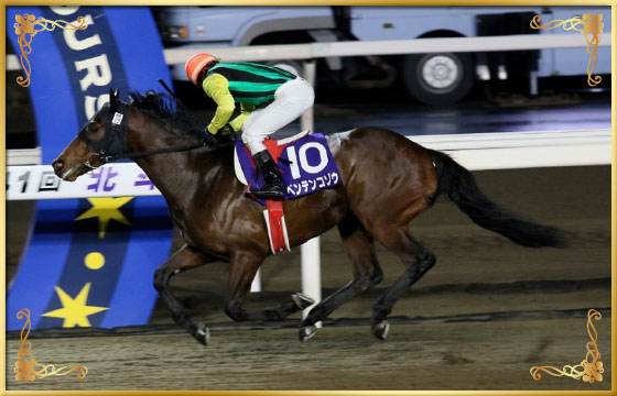 2017年優勝馬　ベンテンコゾウ号