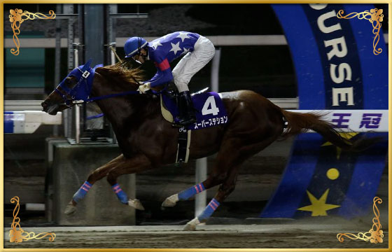 2017年優勝馬 スーパーステション号