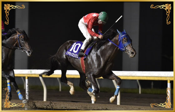 2017年優勝馬　リアライズリンクス号