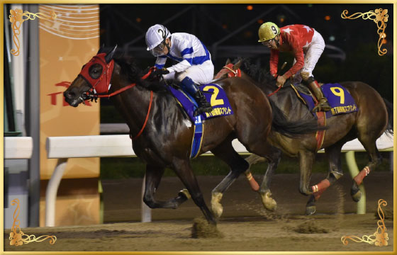 2017年優勝馬　バンドオンザラン号