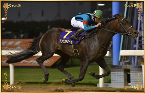 2017年優勝馬 アンジュデジール号