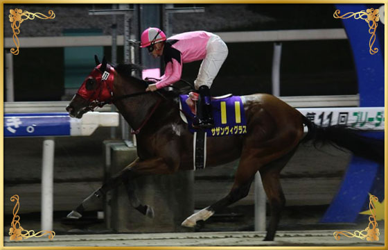 2017年優勝馬　サザンヴィグラス号