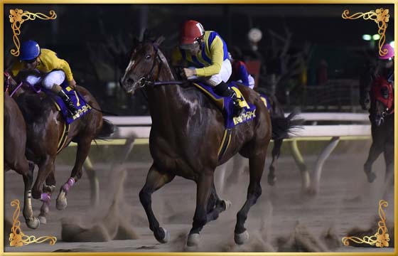 2017年優勝馬　キタサンミカヅキ号