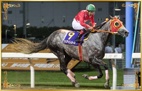 2017年優勝馬　ケイアイレオーネ号