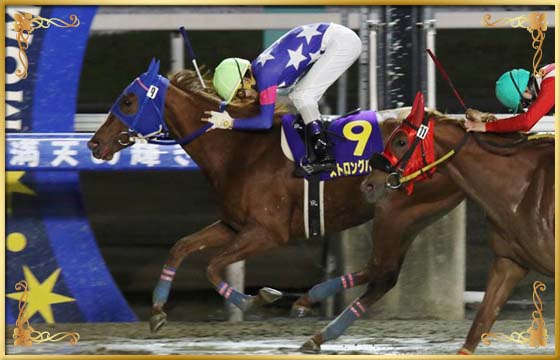 2017年優勝馬 ストロングハート