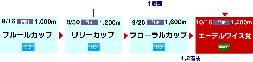 体系図 ~ホッカイドウ競馬2歳牝馬~