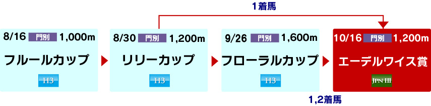 体系図　～ホッカイドウ競馬2歳牝馬～