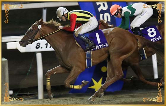 2017年優勝馬 ボーダレスガール号