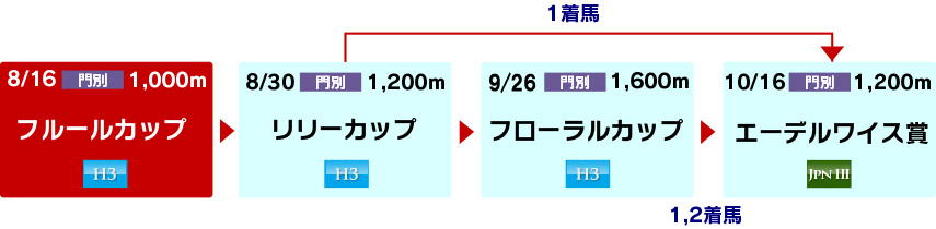 体系図 ~ホッカイドウ競馬2歳牝馬~