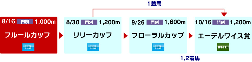 体系図　～ホッカイドウ競馬2歳牝馬～