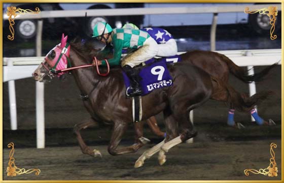 2017年優勝馬 ミスマンマミーア号