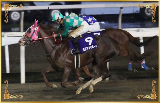 2017年優勝馬　ミスマンマミーア号