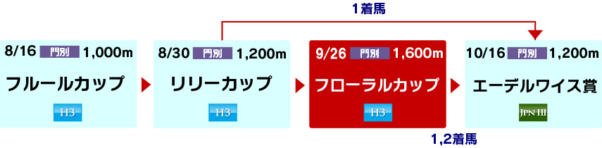 体系図 ~ホッカイドウ競馬2歳牝馬~