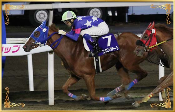 2017年優勝馬 ストロングハート