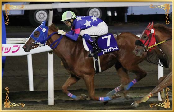 2017年優勝馬　ストロングハート