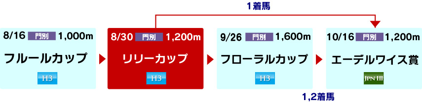 体系図　～ホッカイドウ競馬2歳牝馬～