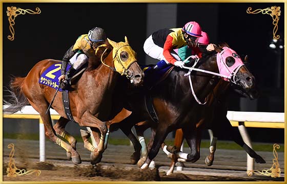 2017年優勝馬 アポロケンタッキー号(内)
