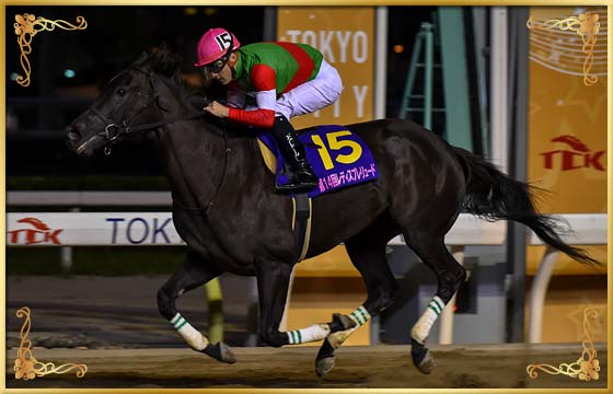 2017年優勝馬 クイーンマンボ号
