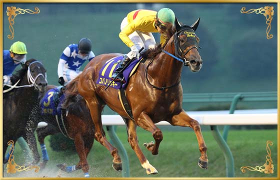 2017年優勝馬 コパノリッキー号