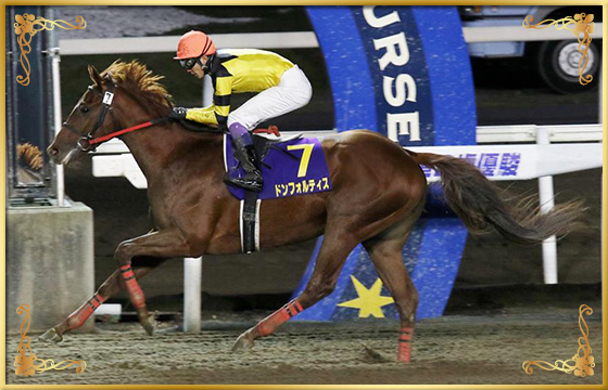 2017年優勝馬 ドンフォルティス号