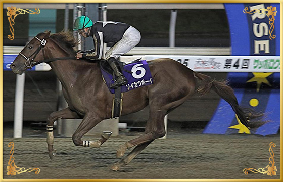 2017年優勝馬　ソイカウボーイ号