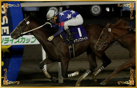 2017年優勝馬 ヤマノファイト号