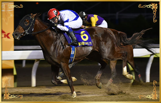 2017年優勝馬　セイスコーピオン号