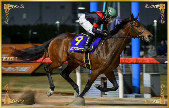 2017年優勝馬　ルヴァンスレーヴ号