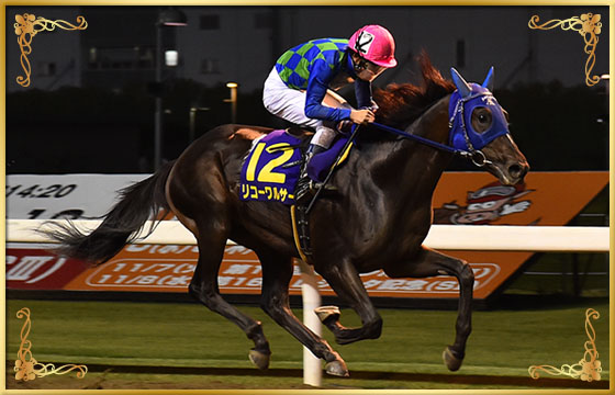2017年優勝馬 リコーワルサー号
