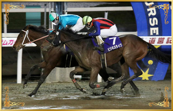 2017年優勝馬 クロスウィンド号(内)