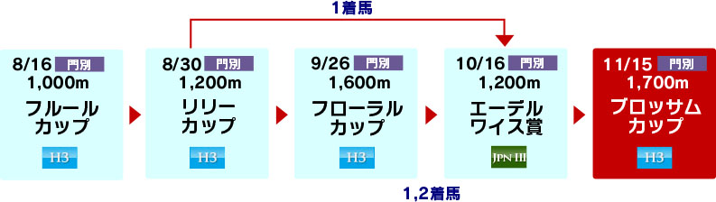 体系図 ~ホッカイドウ競馬2歳牝馬~