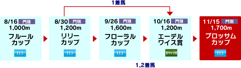 体系図　～ホッカイドウ競馬2歳牝馬～