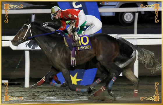 2017年優勝馬 ステージインパクト号