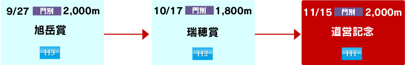 体系図　～ホッカイドウ競馬古馬中長距離～