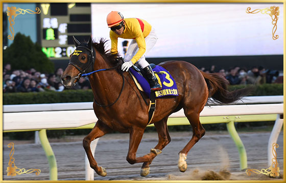 2017年優勝馬　コパノリッキー号