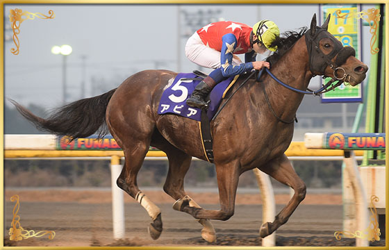 2018年優勝馬 アピア