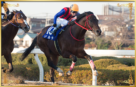 2017年優勝馬　ソルテ号