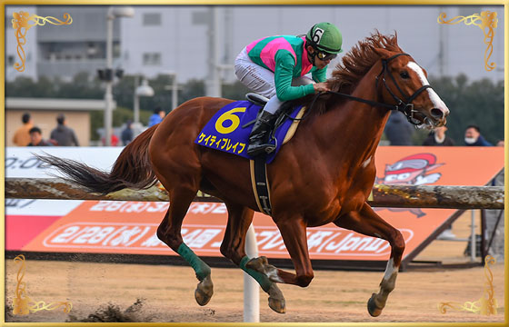 2018年優勝馬　ケイティブレイブ