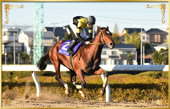 2018年優勝馬　ヤマノファイト号